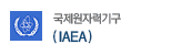 IAEA 국제원자력기구